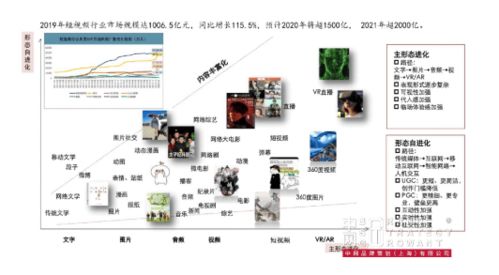 金光APP與中網品牌策劃 品牌戰略咨詢與禮儀服務助力成熟品牌營銷突破